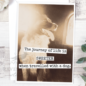 The Journey Of Life Is SWEETER When Travelled With A Dog. Greeting Card