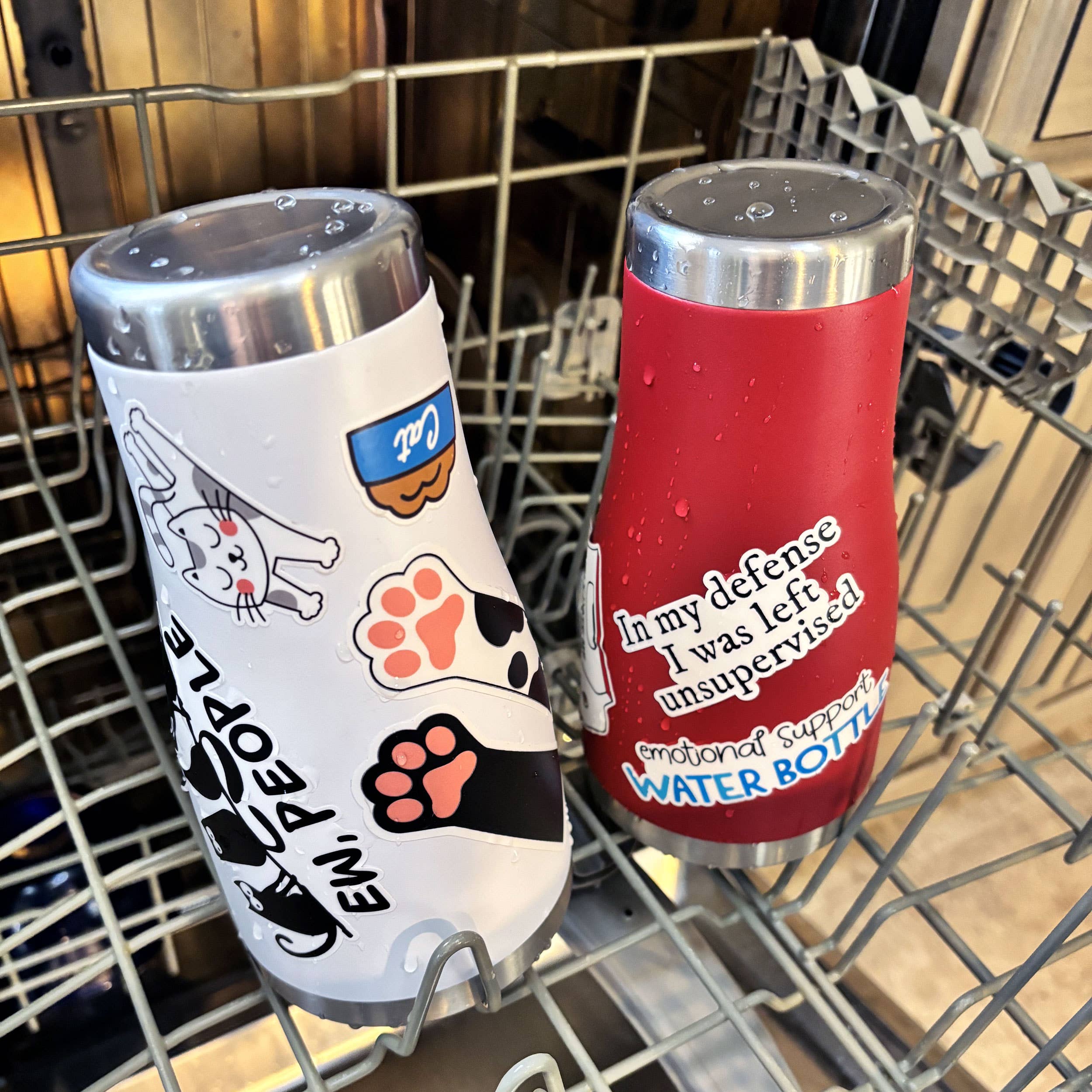 Two insulated water bottles with humorous designs in a dishwasher.
