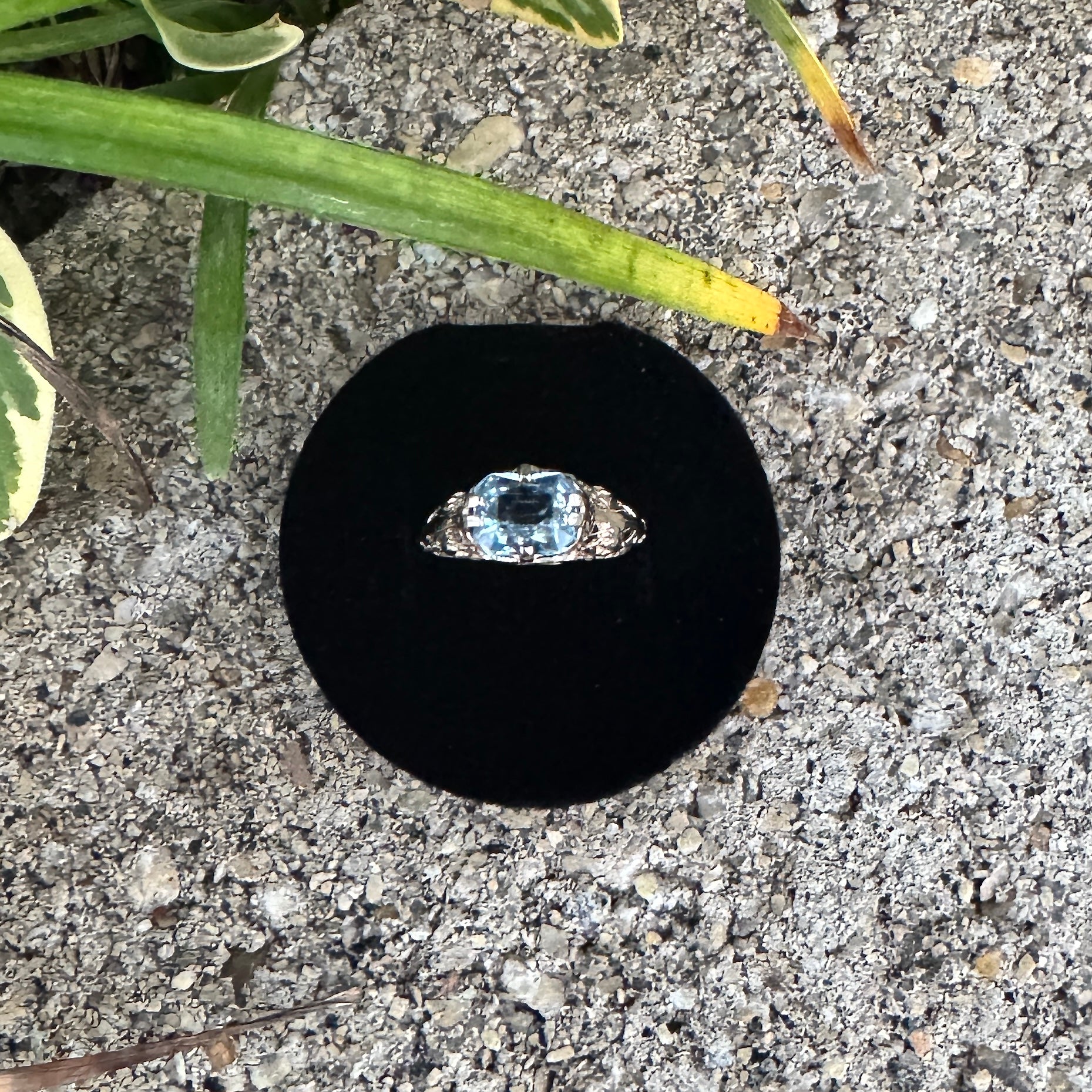 Edwardian Blue Spinel Filigree Birthstone Ring in 14k White Gold CPJ-RE 11202025