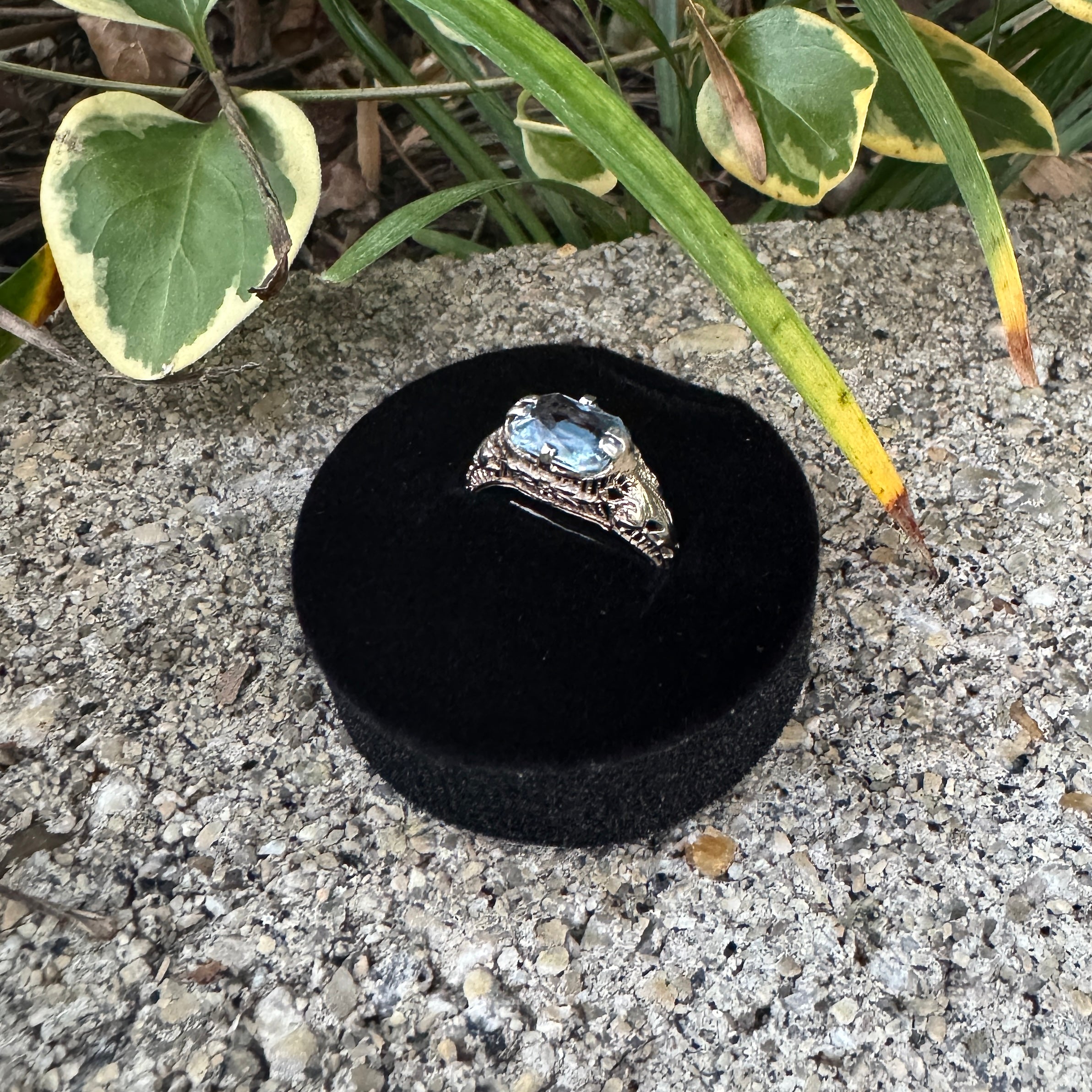 Edwardian Blue Spinel Filigree Birthstone Ring in 14k White Gold CPJ-RE 11202025