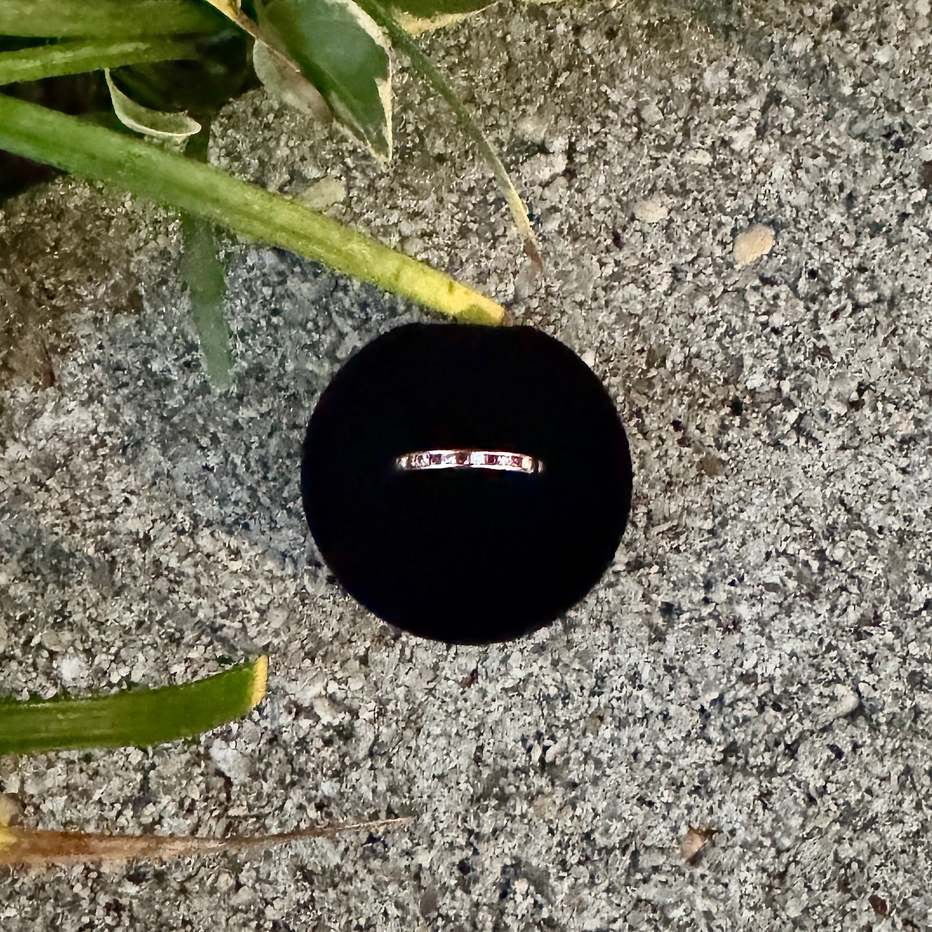 Silver ring on a black velvet cushion with grass and concrete in the background. Shop curated jewelry and antiques at Rutledge Exchange in Camden, SC.