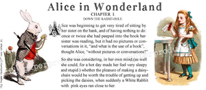 Alice in Wonderland- Chapter One- Ceramic Mug