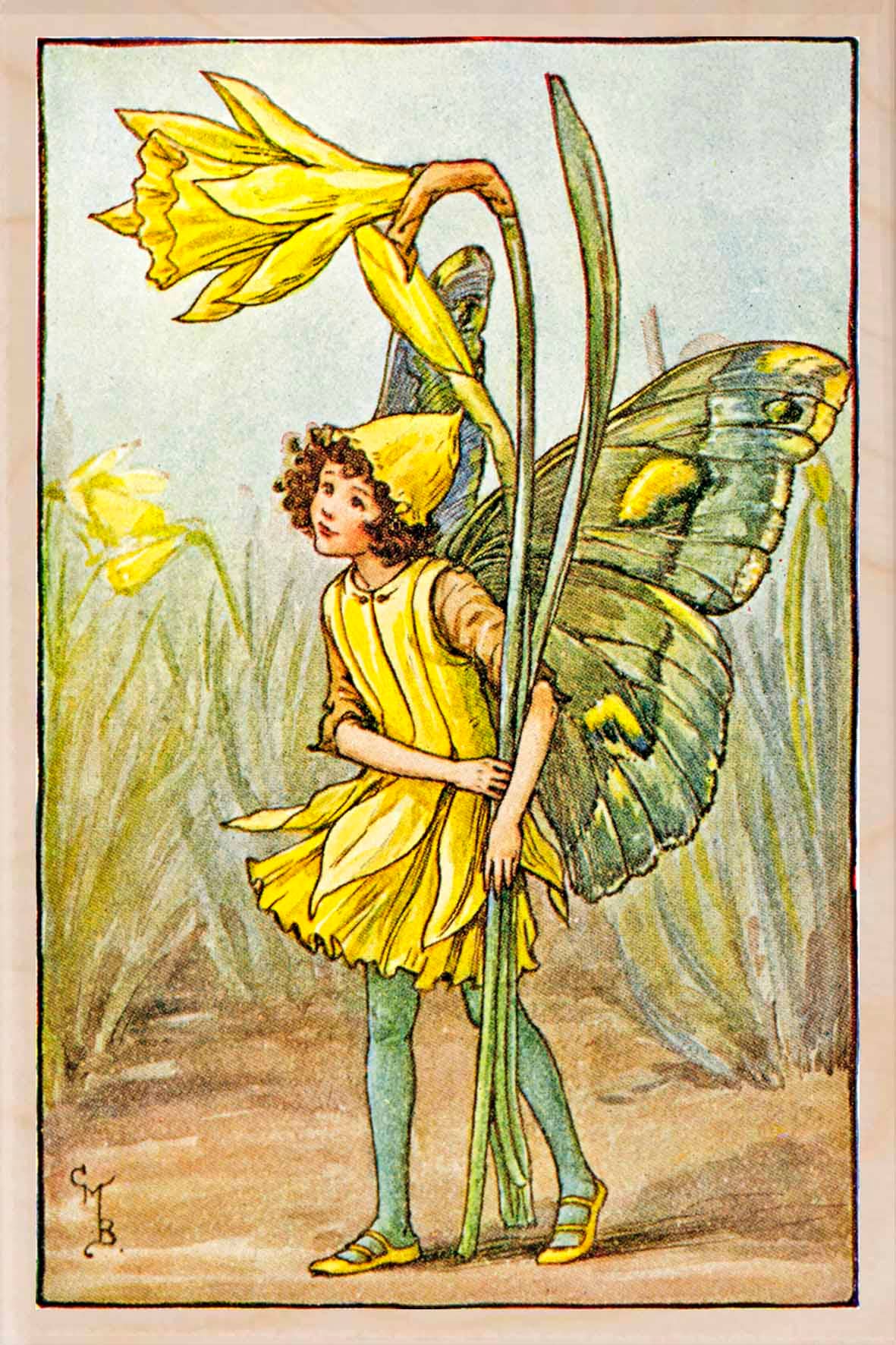 DAFFODIL FAIRY wooden postcard The Flower Fairies™