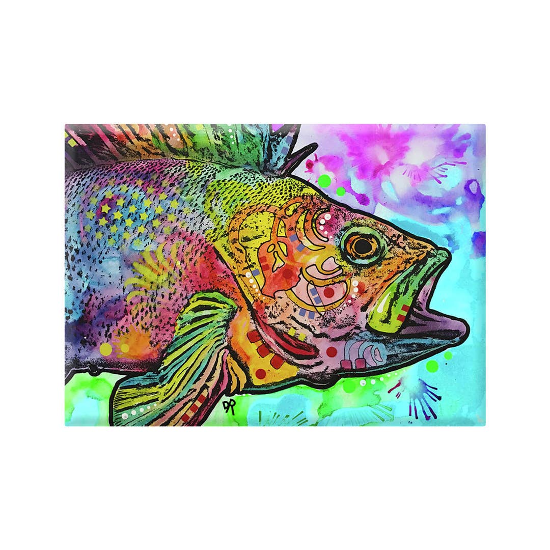 Rainbow Fish Magnet