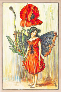 POPPY FAIRY wooden postcard The Flower Fairies™