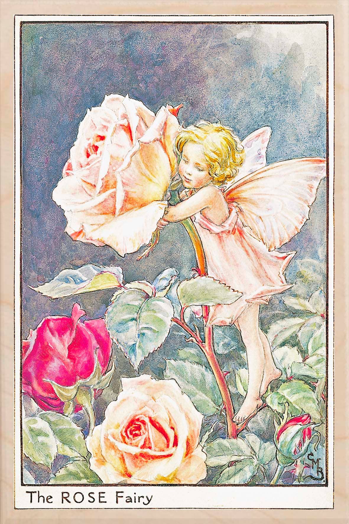 ROSE FAIRY wooden postcard The Flower Fairies™