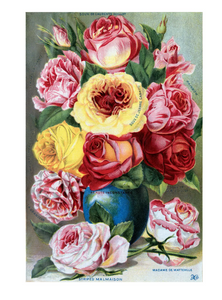 Antique Roses Greeting Card Box