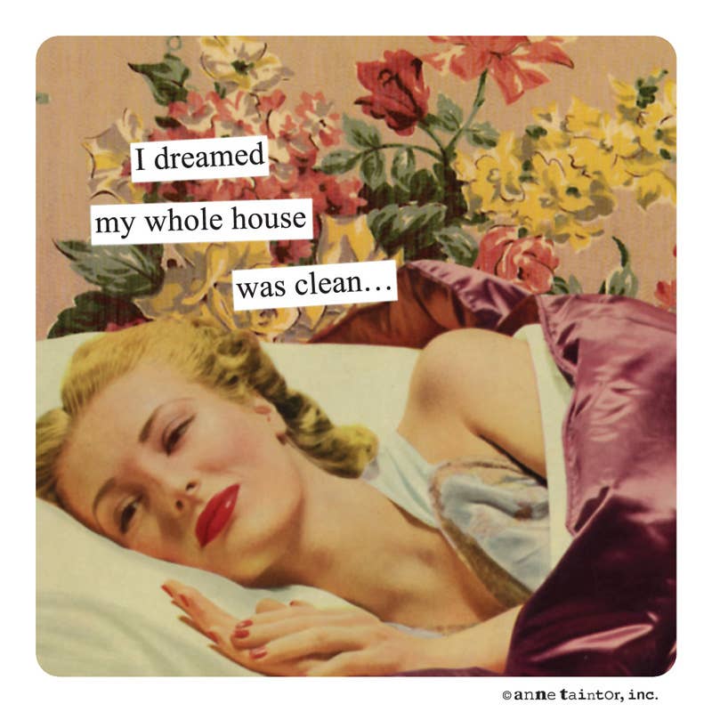 Anne Taintor Magnet I dreamed my whole house was clean